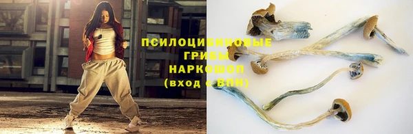 дмт Абинск
