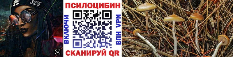 Псилоцибиновые грибы ЛСД  Советский 